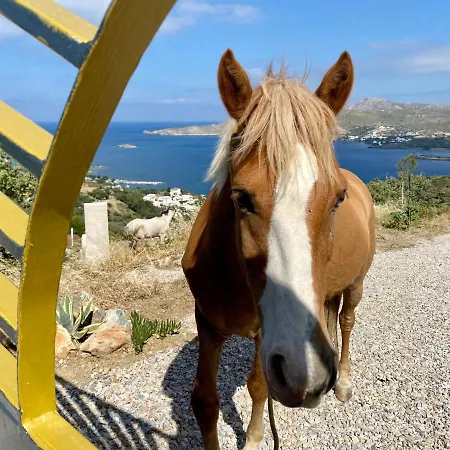 Nova Leros * Drymonas