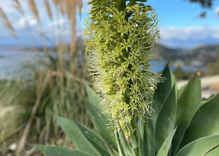 Nova Leros Villa Drimónasz