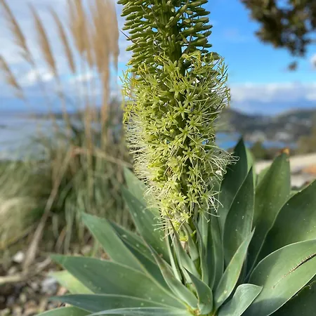 Nova Leros Villa Drymonas