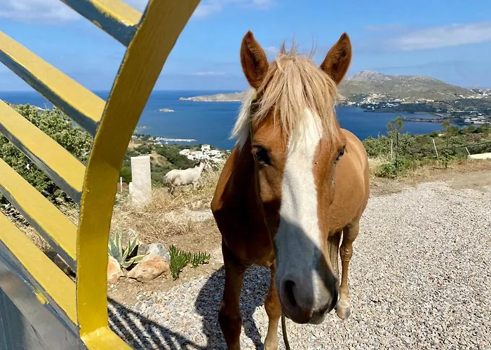 Nova Leros * Drimónasz